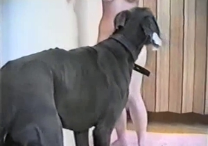 Woman wears stockings and likes her big doggie cock