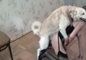 Total slut with blonde hair is banged hard by a dog