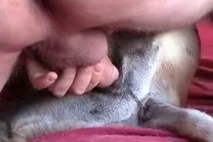 Sexy stray impaled in amateur zoo XXX