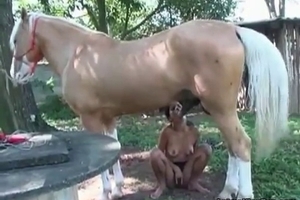 The massive cock of a horse gets sucked off by a brunette slut