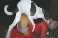 Milf animal sex